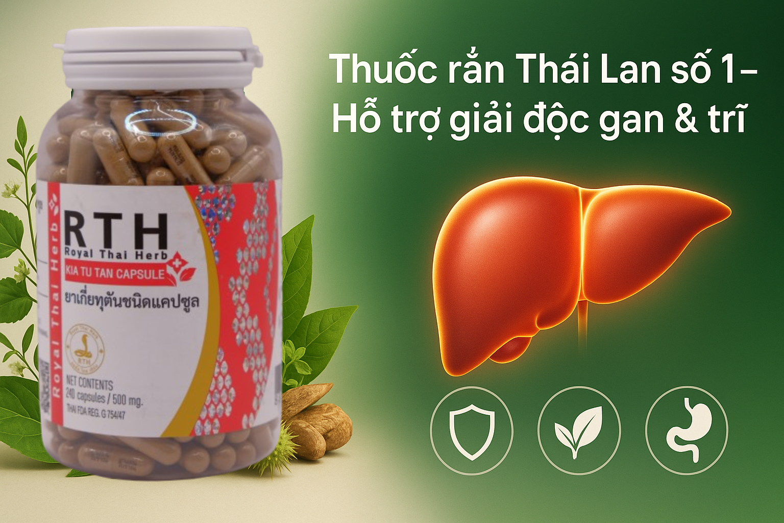 Thuốc rắn Thái Lan số 1 Kia Tu Tan: Bí quyết hỗ trợ giải độc gan & giảm khó chịu do trĩ.