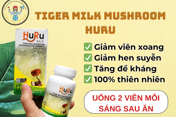 Tiger Milk Mushroom HuRu – Giải Pháp Tự Nhiên Cho Viêm Xoang, Hen Suyễn Mũi, Ho, Viêm Họng