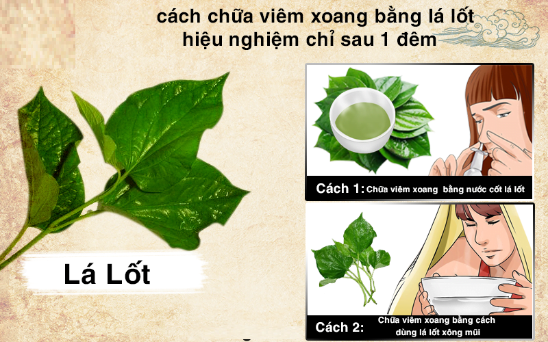 cay-la-lot-chua-viem-xoang