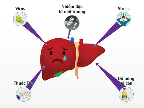 gan-nhiem-doc