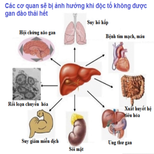 kia-tu-tan-cac-co-quan-neu-khong-giai-doc-gan