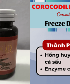 COROCODILE BLOOD Capsule Freeze Dried –  Viên Nang Máu Cá Sấu Thái Lan