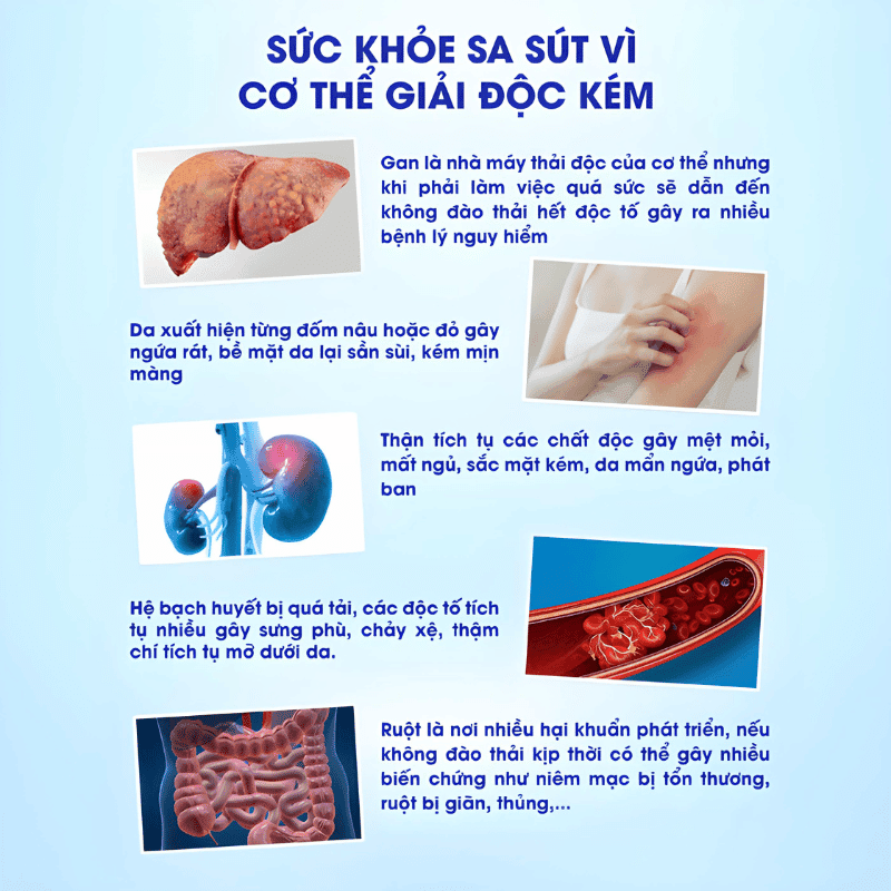 vi-sao-nen-ket-hop-thuoc-ran-so-1-va-ya-sur-fern-wan-ho-tro-benh-tieu-duong
