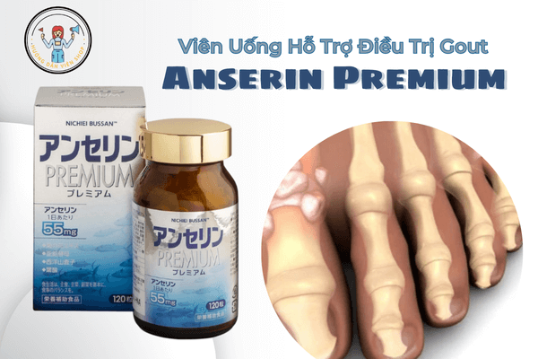 Viên Uống Anserin Premium (120 Viên) – Viên Uống Hỗ Trợ Điều Trị Gout