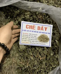 Che-Day