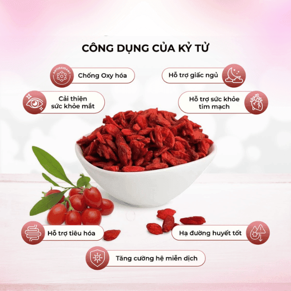 Kỷ Tử Khô Ninh Hạ: Công Dụng, Cách Dùng & Giá Sỉ Tận Gốc