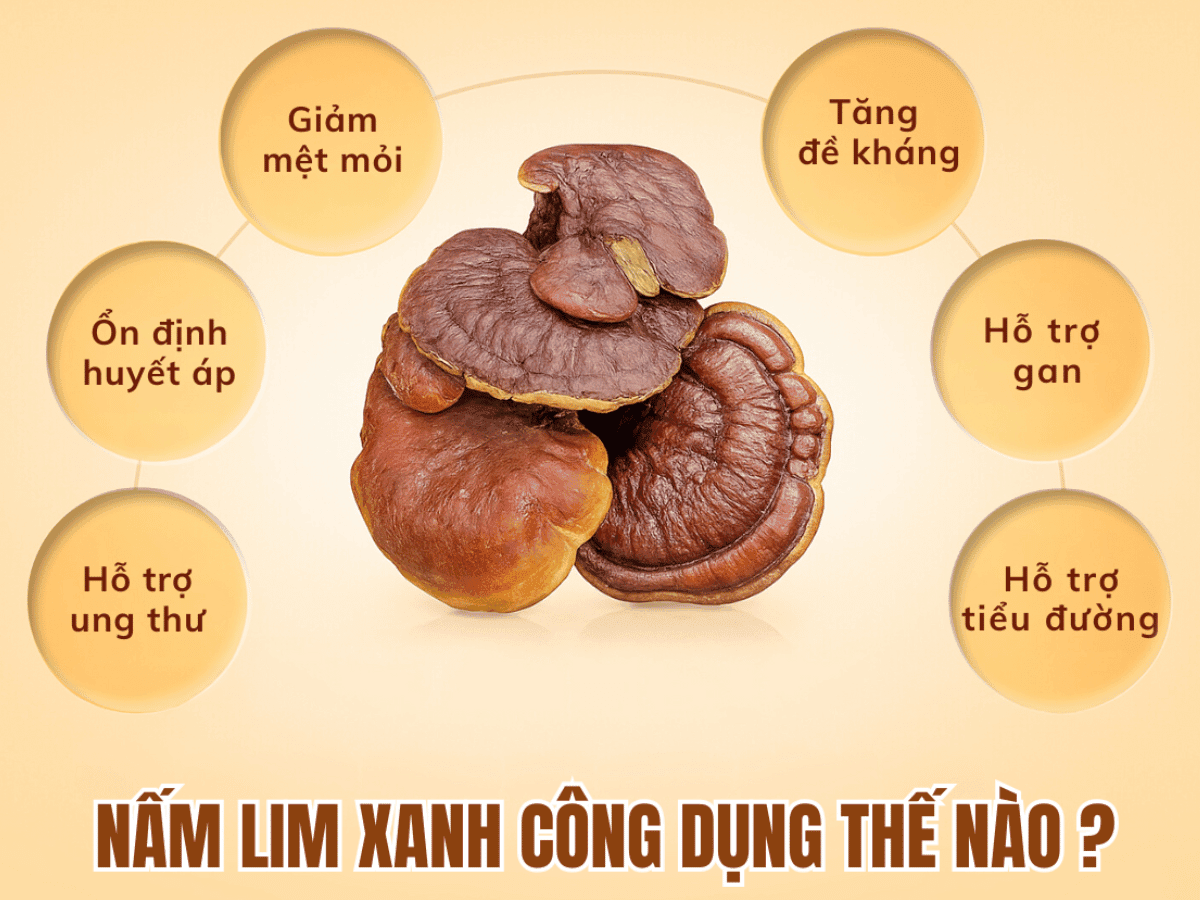 nam-lim-xanh
