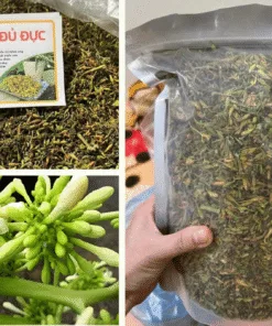 hoa-du-du-duc-kho