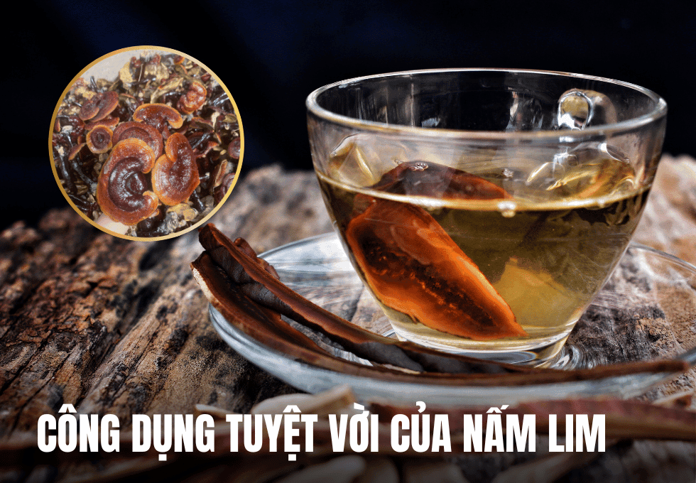 nam-lim-xanh