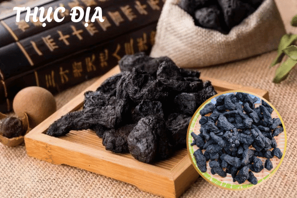 Thục Địa Cửu Chưng Cửu Sái: Công Dụng, Cách Dùng & Giá Sỉ Tận Gốc 6 thuc-dia