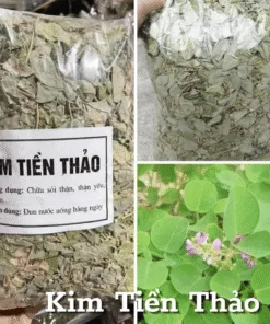 kim-tien-thao