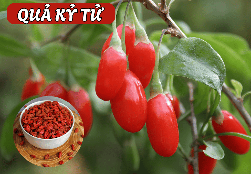 ky-tu
