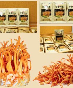 Nước đông trùng hạ thảo Kanghwan Bio Silkworm Cordyceps