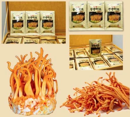 Nước đông trùng hạ thảo Kanghwan Bio Silkworm Cordyceps