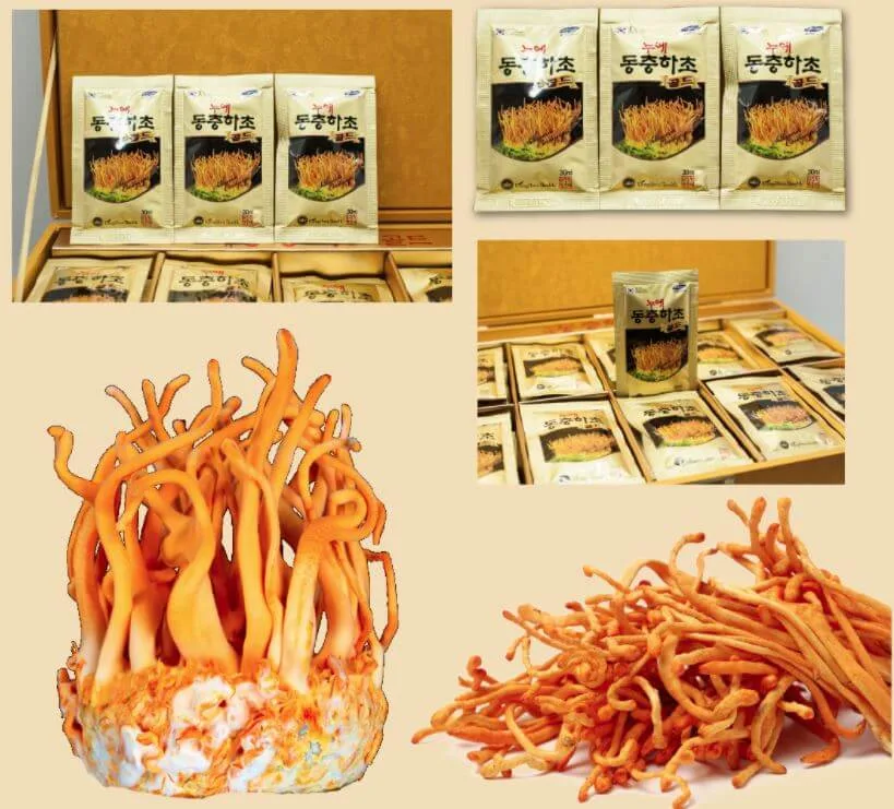 Nước đông trùng hạ thảo Kanghwan Bio Silkworm Cordyceps