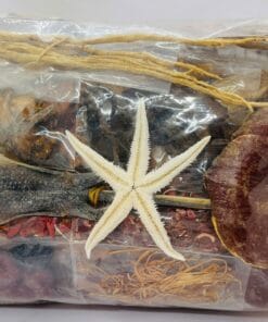 Minh Mạng Thang – Thuốc Bổ Thận Tráng Dương Đông Y Nổi Tiếng Từ Triều Nguyễn 8 Minh Mạng Thang – Thuốc Bổ Thận Tráng Dương Đông Y Nổi Tiếng Từ Triều Nguyễn