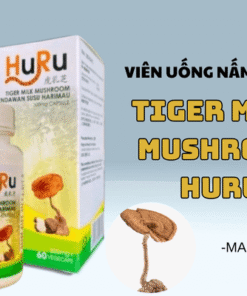 Tiger Milk Mushroom HuRu – Giải Pháp Tự Nhiên Cho Viêm Xoang, Hen Suyễn Mũi, Ho, Viêm Họng