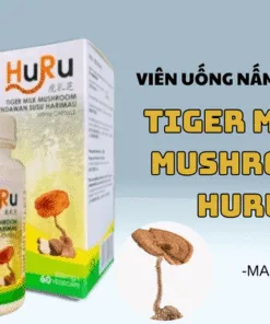 Tiger Milk Mushroom HuRu – Giải Pháp Tự Nhiên Cho Viêm Xoang, Hen Suyễn Mũi, Ho, Viêm Họng