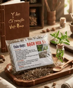 Bạch Hoa Xà Thiệt Thảo: 7 Công Dụng “Vàng” & Cách Dùng Hiệu Quả