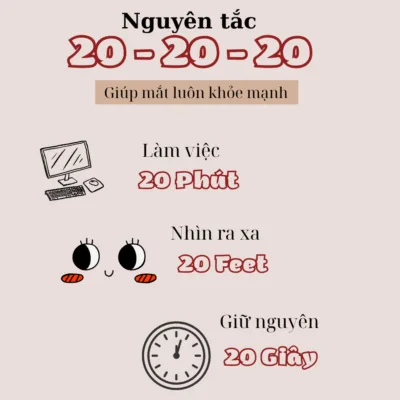 bao-ve-mat-dan-van-phong-meo-20-20-20-ket-hop-cir-tun-wan 