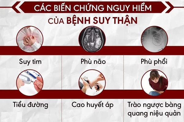 Poo Sen Wan - Thuốc Rắn Thái Lan Số 6 - Trị Chứng Thận Suy, Thận Yếu, Rối Loạn Tiền Đình 14 bien-chung-suy-than
