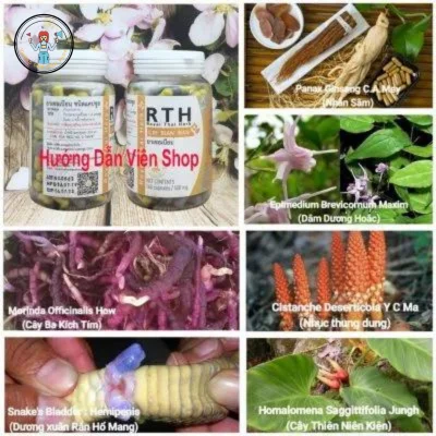 cac loai thanh phan thuoc ran