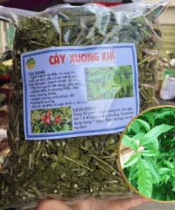 cay-xuong-khi