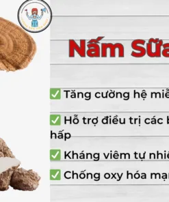 Viên Uống Nấm Sữa Hổ Hữu Cơ TIGMAX 420mg – Tăng Cường Sức Khỏe Tự Nhiên