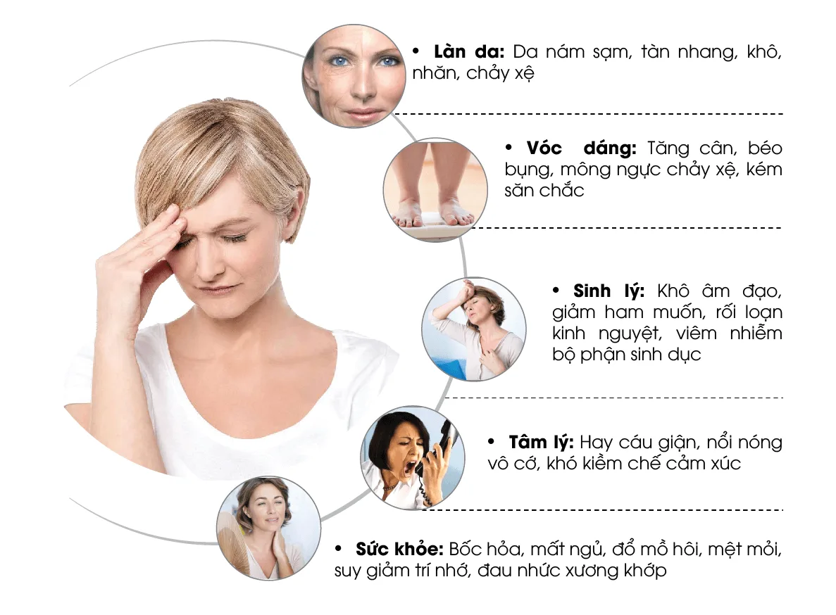 Khi nào nên bắt đầu dùng thuốc rắn Thái Lan số 8 Tiaw King Tan để ngăn ngừa suy giảm nội tiết sớm? 8 Khi nào nên bắt đầu dùng thuốc rắn Thái Lan số 8 Tiaw King Tan để ngăn ngừa suy giảm nội tiết sớm?