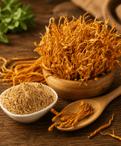 Đông Trùng Hạ Thảo Khô: Công Dụng, Cách Dùng & Giá Sỉ Tận Gốc