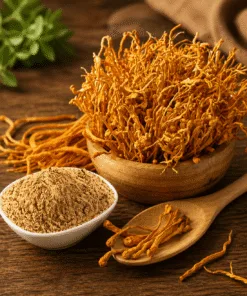 Đông Trùng Hạ Thảo Khô: Công Dụng, Cách Dùng & Giá Sỉ Tận Gốc