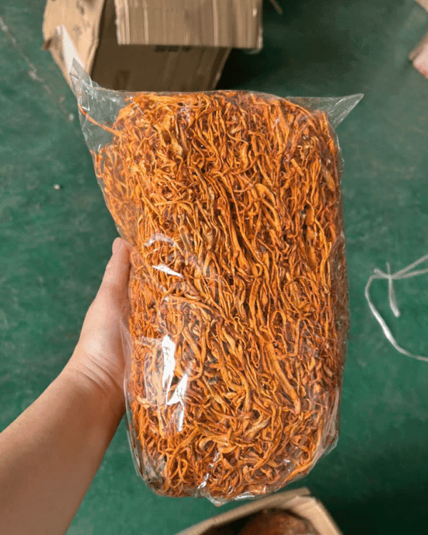 Đông Trùng Hạ Thảo Khô Có Tác Dụng Gì? Giá Sỉ & Lẻ Tận Gốc 5 dong-trung-ha-thao