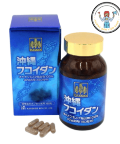 FUCOIDAN OKINAWA 42G (180 viên) – Hỗ trợ phòng ngừa và đều trị ung thư từ Nhật Bản