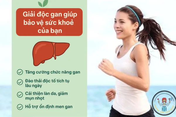 Giải Độc Gan Giúp Bảo Vệ Sức Khỏe Của Chính Bạn