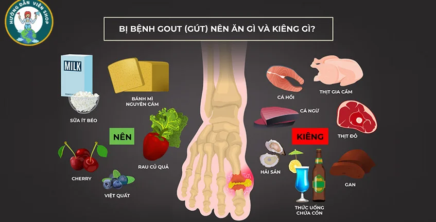 hình-anh-thuc-pham-nhung-nguoi-mac-benh-gout-nên-ăn-và-khong-nen