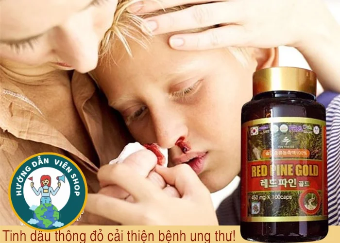 hinh anh tinh dau thong do red pine gold