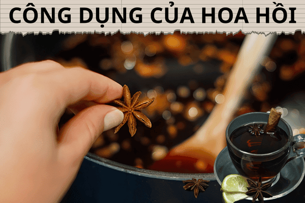 hoa-hoi
