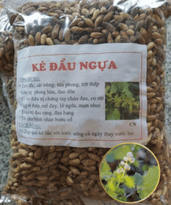 ke-dau-ngua
