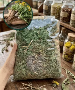 Bồ Công Anh Sấy Khô: Công Dụng & Giá Sỉ/Lẻ Tốt Nhất 2026