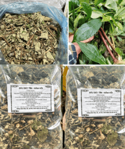 Mâm Xôi Bầu Đất Tím: Bí Quyết Nội Tiết & Phụ Khoa (Sỉ Tận Gốc)