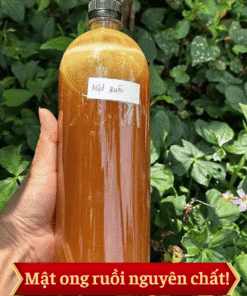 mat-ong-ruoi-nguyen-chat