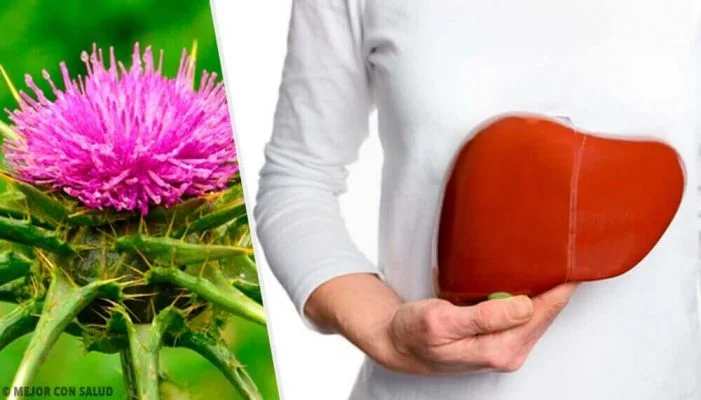 milk thistle extract puritan's pride