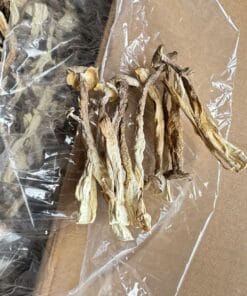 Nấm Lộc Nhung: Công Dụng, Cách Dùng & Giá Sỉ Toàn Quốc 2026