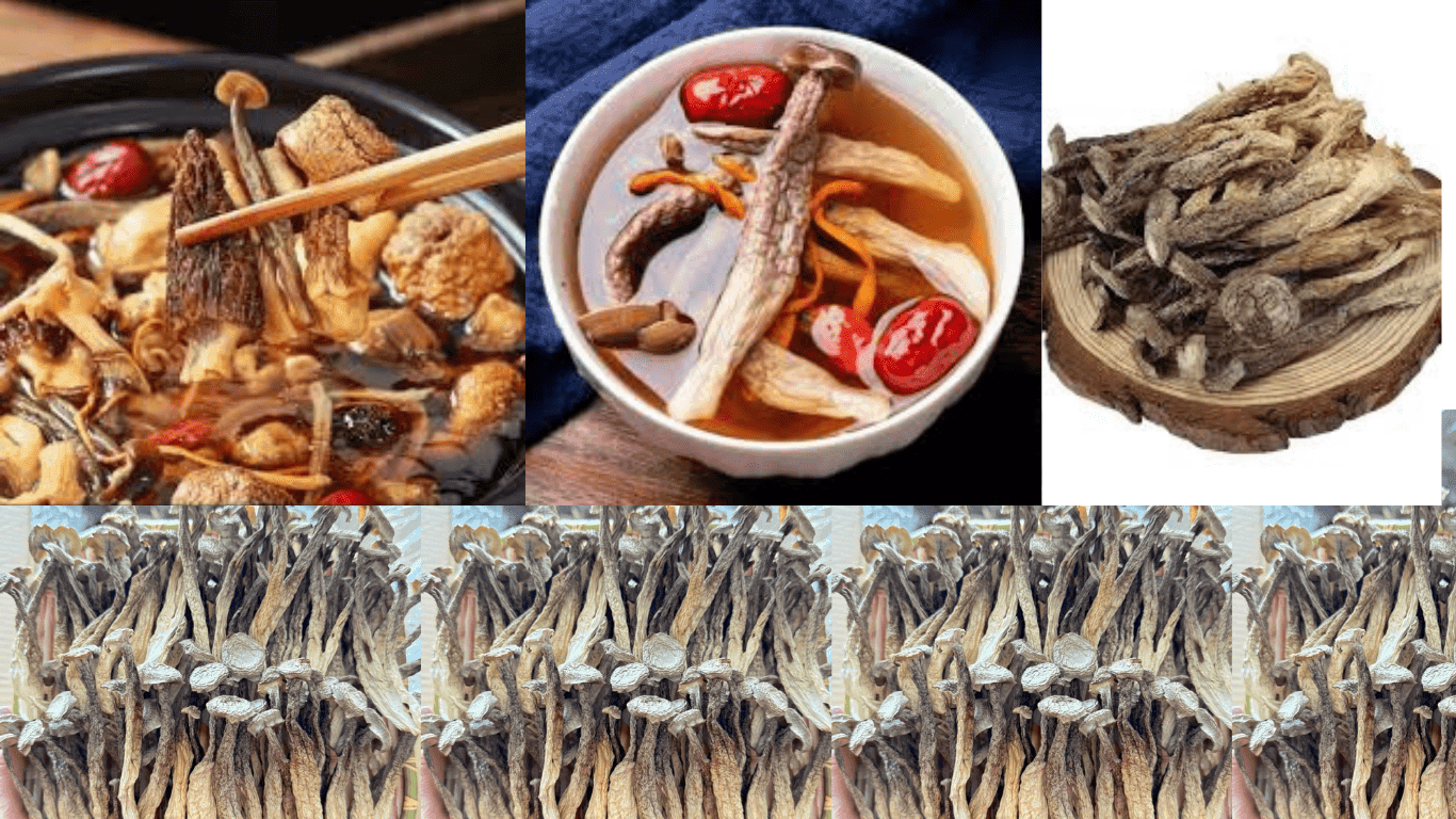 Nấm Lộc Nhung: Công Dụng, Cách Dùng & Giá Sỉ Toàn Quốc 2026