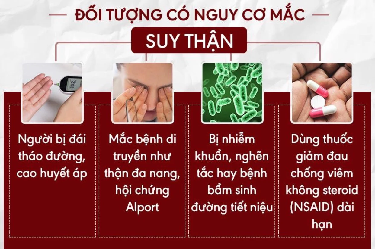 Poo Sen Wan - Thuốc Rắn Thái Lan Số 6 - Trị Chứng Thận Suy, Thận Yếu, Rối Loạn Tiền Đình 13 nguyen-nhan-gay-suy-than