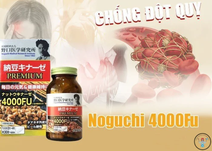 Noguchi -Nattokinase-vien-uong-chong-dot-quy (2)