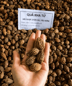 Quả Kha Tử Nguyên Chất: Công Dụng, Cách Dùng & Giá Sỉ Toàn Quốc