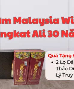 Sâm Malaysia Wild Tongkat Ali 30 Năm – Tăng Sinh Lực, Bổ Thận Tráng Dương