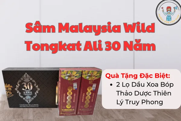 Sâm Malaysia Wild Tongkat Ali 30 Năm – Tăng Sinh Lực, Bổ Thận Tráng Dương