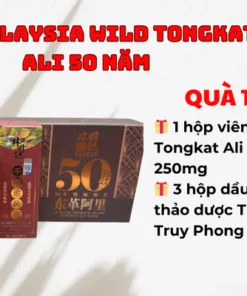 Sâm Malaysia Wild Tongkat Ali 50 Năm – Bí Quyết Sức Khoẻ Và Sinh Lực Phái Mạnh